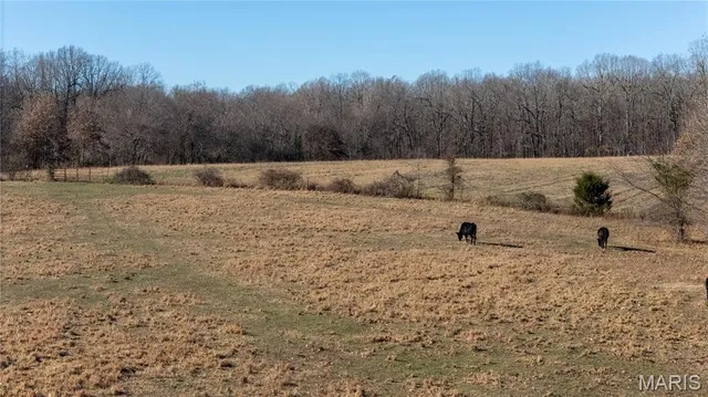 $315,000 | 2615 County Line Road, Harviell, MO 63945