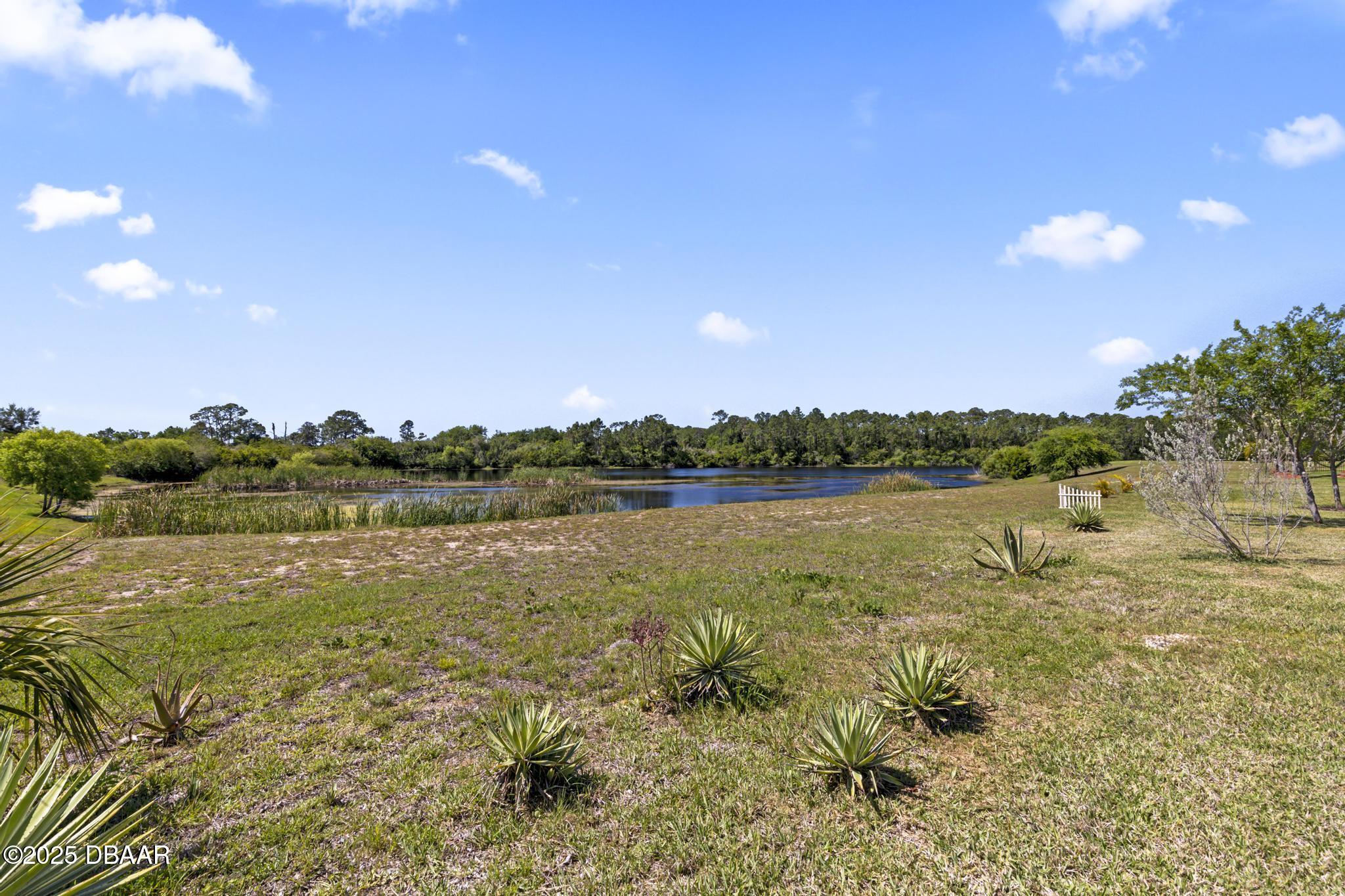 66 Eagle Lake Drive Flagler Beach, FL 32136 - Photo 47 of 77 a view of lake with green space
