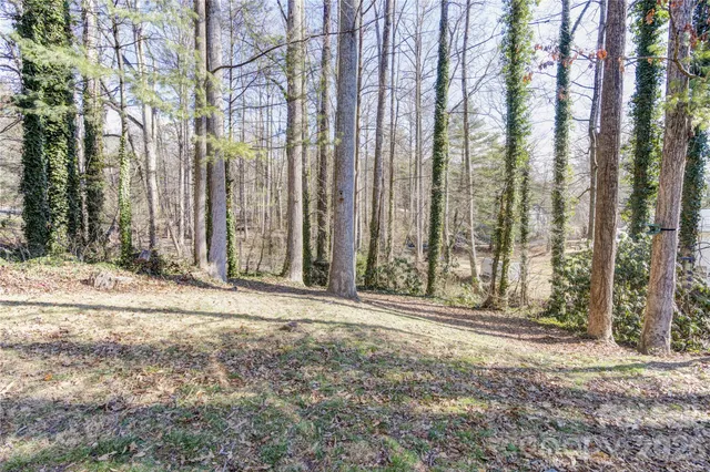 a view of outdoor space with trees