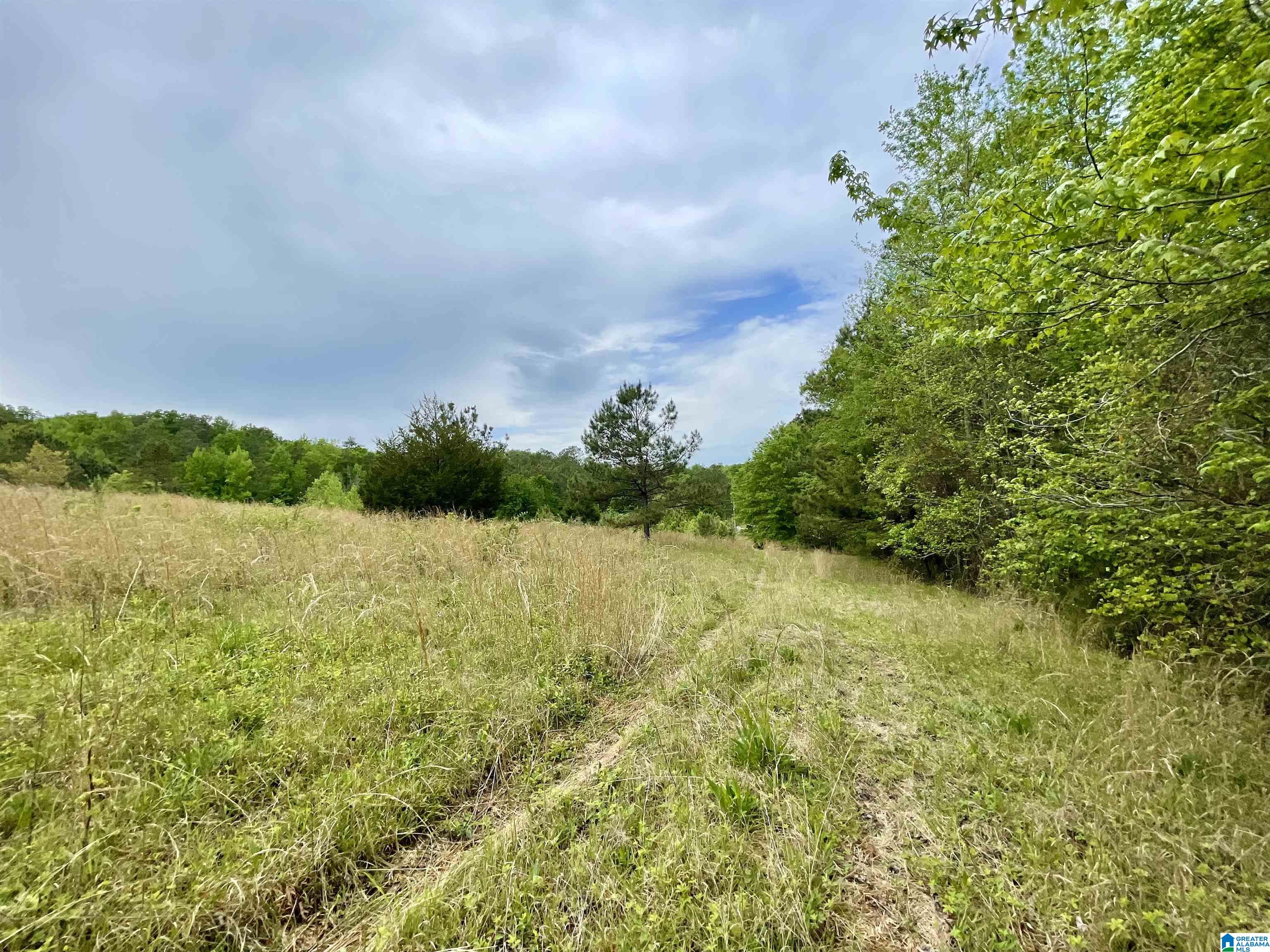 3927 Brazel Mill Road Altoona, AL 35952 - Photo 11 of 21
