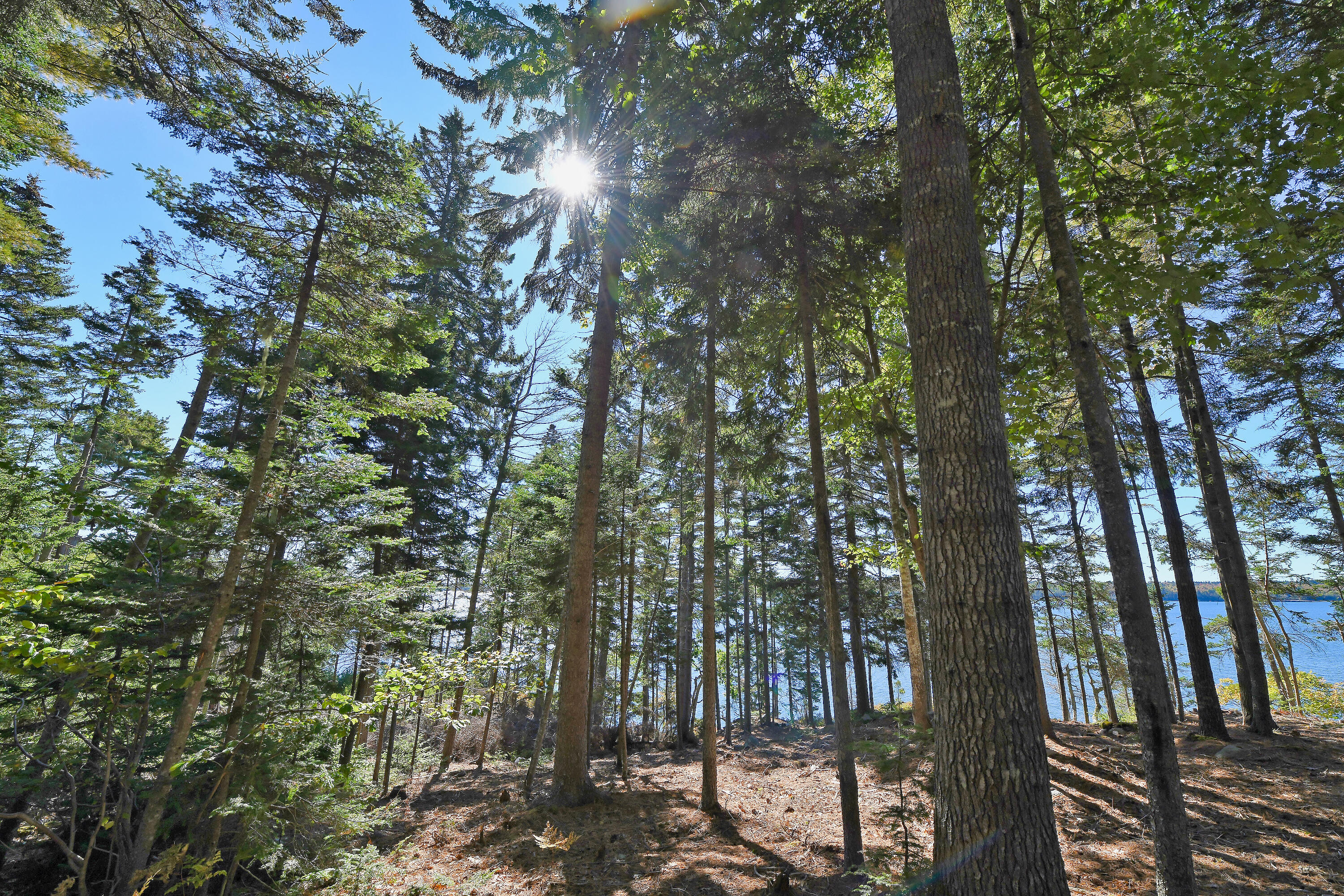Lot 6 Sunset Road Brooksville, ME 04617 - Photo 17 of 35