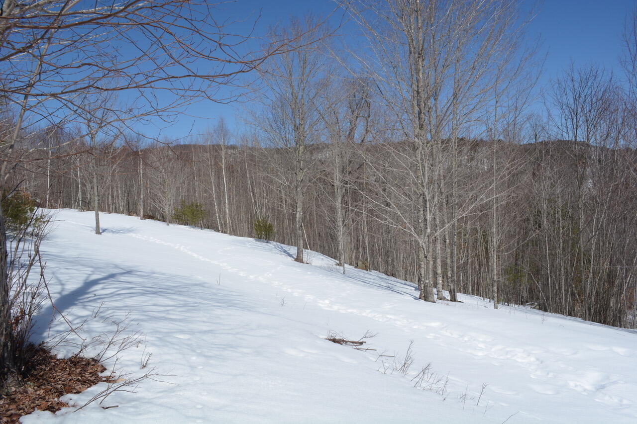 0 Durgintown Road Hiram, ME 04041 - Photo 3 of 22 DSC_0331