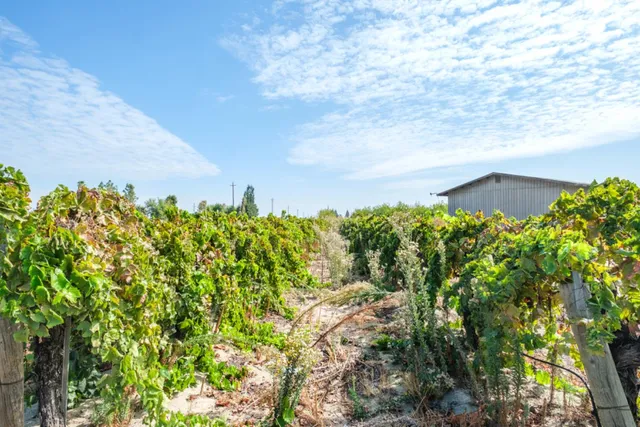 a view of a city and ocean view