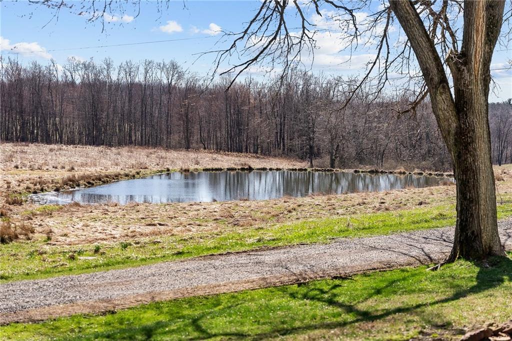 587 Brownsdale Road Renfrew, PA 16053 - Photo 6 of 37 Spring-fed pond with peaceful views