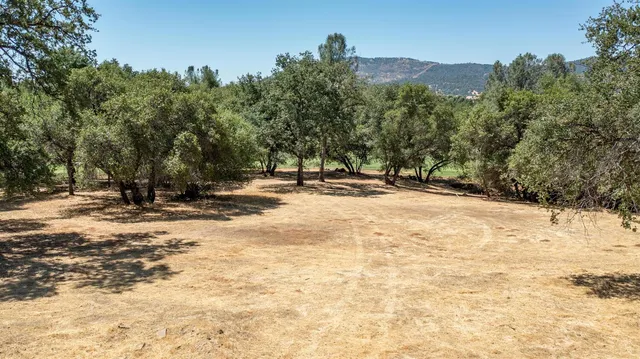 a view of outdoor space with trees