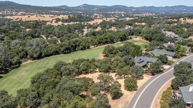 an aerial view of green landscape with trees houses and mountain view