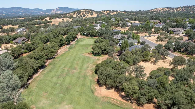 an aerial view of residential houses with outdoor space and trees