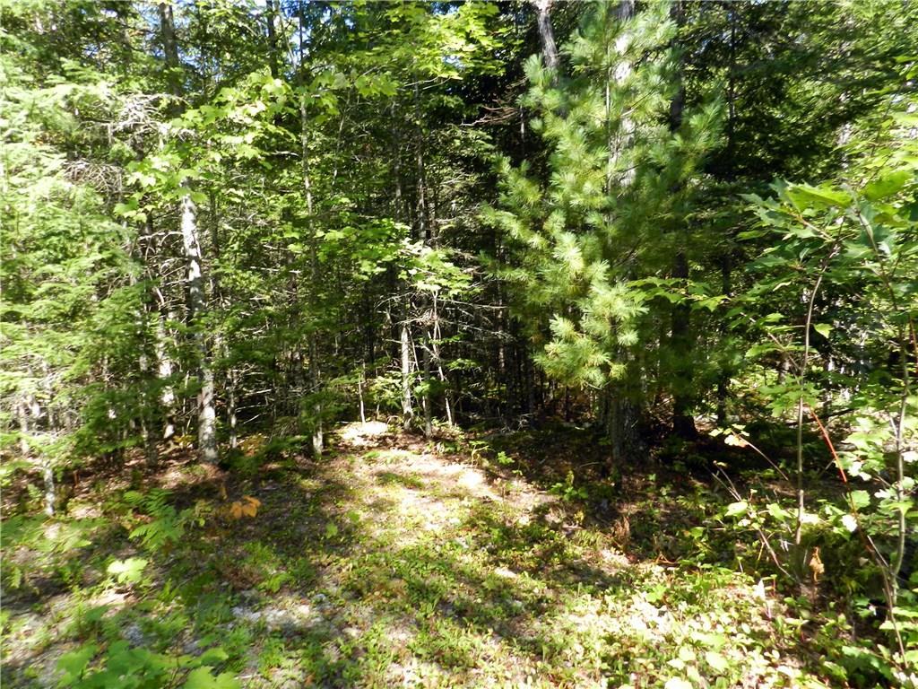 12 Berry Pit Road Hudson, ME 04449 - Photo 12 of 24 Photo