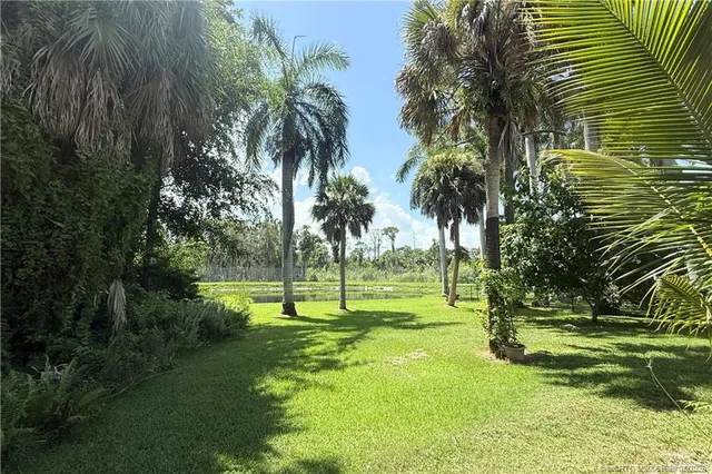 a view of a park with palm trees