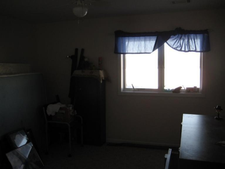 10575 North Sheridan Road Edmore, MI 48829 - Photo 11 of 17 Additional Photo