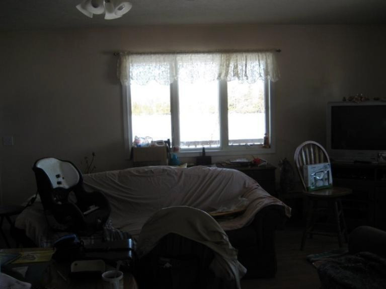 10575 North Sheridan Road Edmore, MI 48829 - Photo 4 of 17 Additional Photo