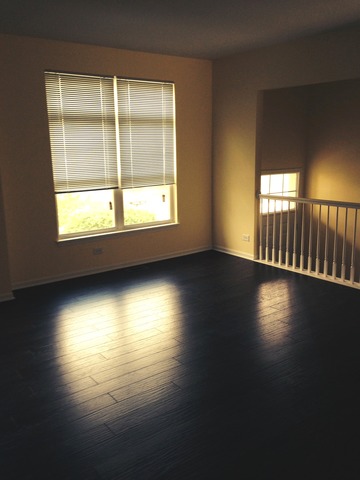 426 North Commerce Street, Unit 426 Aurora, IL 60504 - Photo 4 of 17