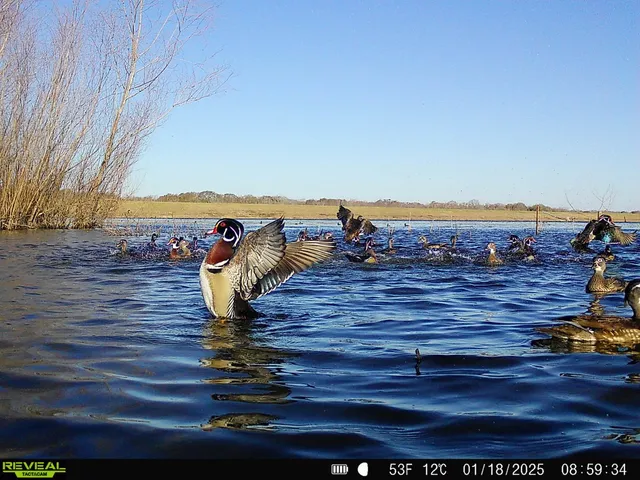 $8,300,000 | 0 Highway 30 College Station, Anderson, TX 77830