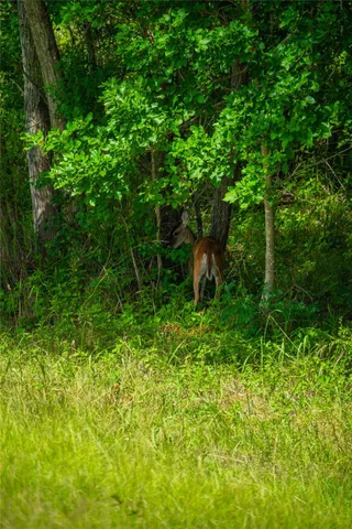 $8,300,000 | 0 Highway 30 College Station, Anderson, TX 77830