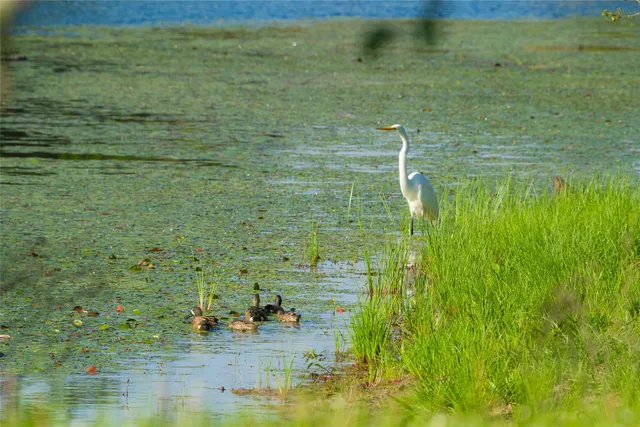 $8,300,000 | 0 Highway 30 College Station, Anderson, TX 77830