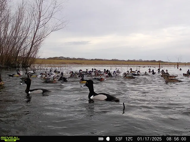 $8,300,000 | 0 Highway 30 College Station, Anderson, TX 77830