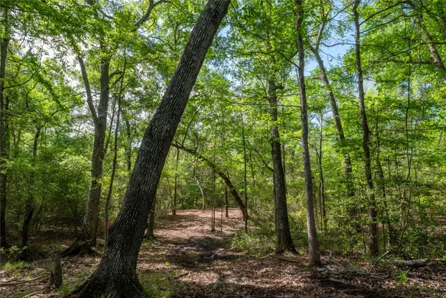 $8,300,000 | 0 Highway 30 College Station, Anderson, TX 77830