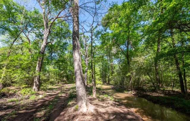 $8,300,000 | 0 Highway 30 College Station, Anderson, TX 77830