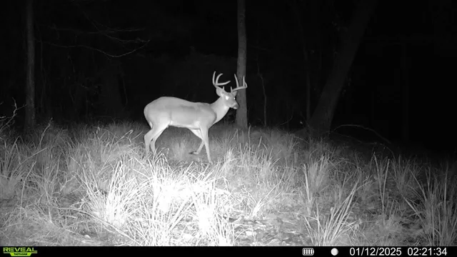 $8,300,000 | 0 Highway 30 College Station, Anderson, TX 77830