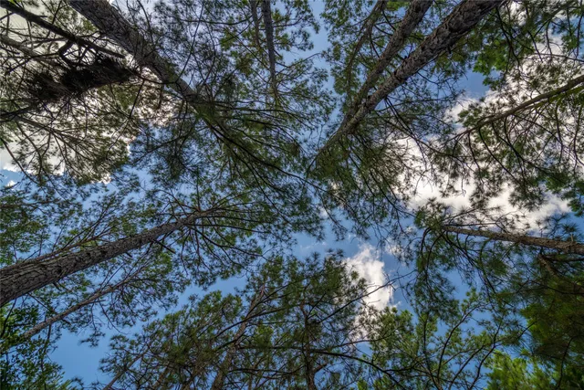 $8,300,000 | 0 Highway 30 College Station, Anderson, TX 77830