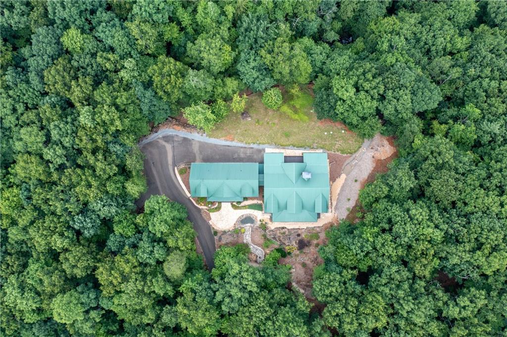 729 Huckleberry Way Jasper, GA 30143 - Photo 68 of 74 an aerial view of a house with a yard basket ball court