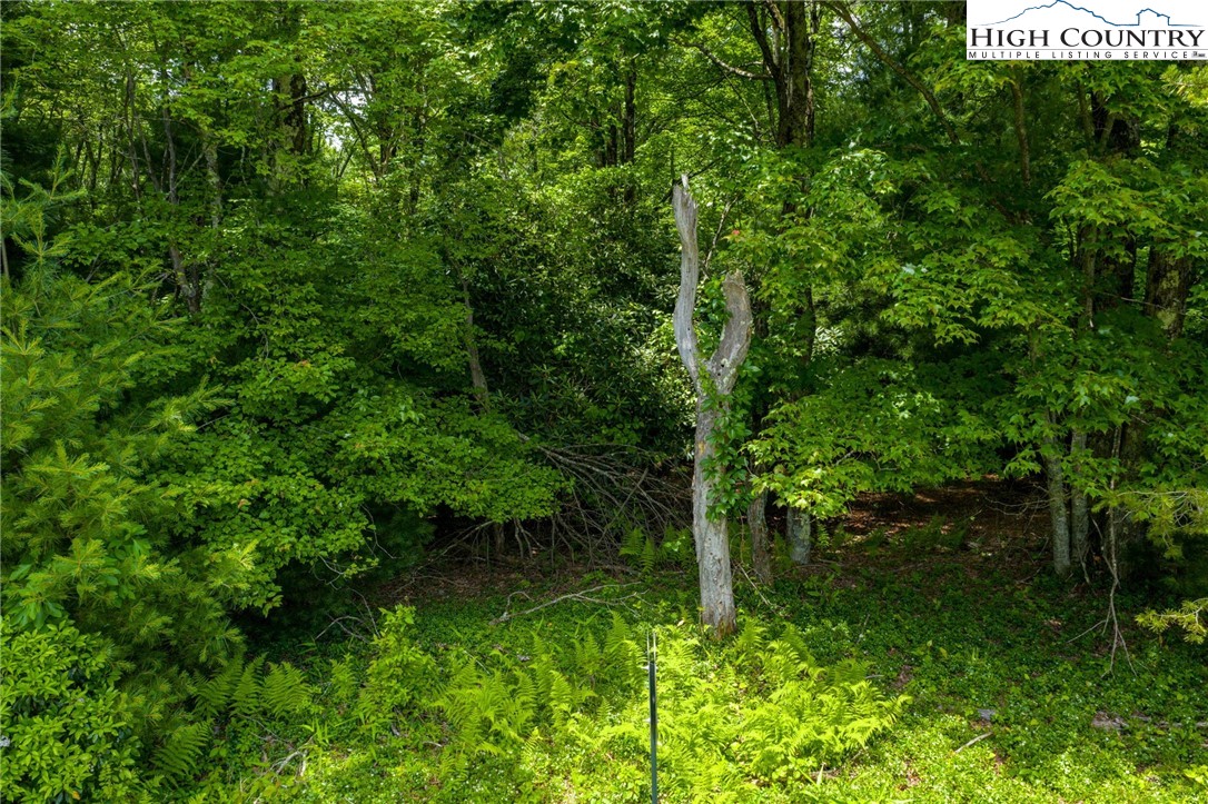 Air Bellows Gap Road, Unit 5 Sparta, NC 28675 - Photo 11 of 11 Gallery Image 11