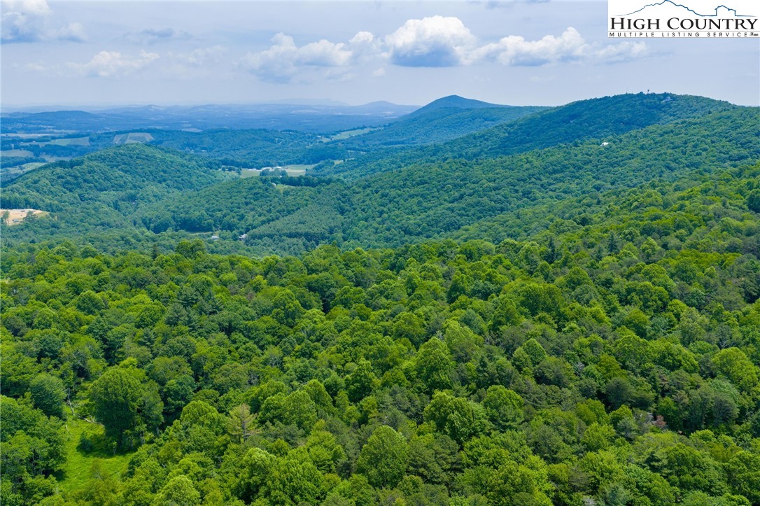 Air Bellows Gap Road, Unit 5 Sparta, NC 28675 - Photo 2 of 11 Gallery Image 2