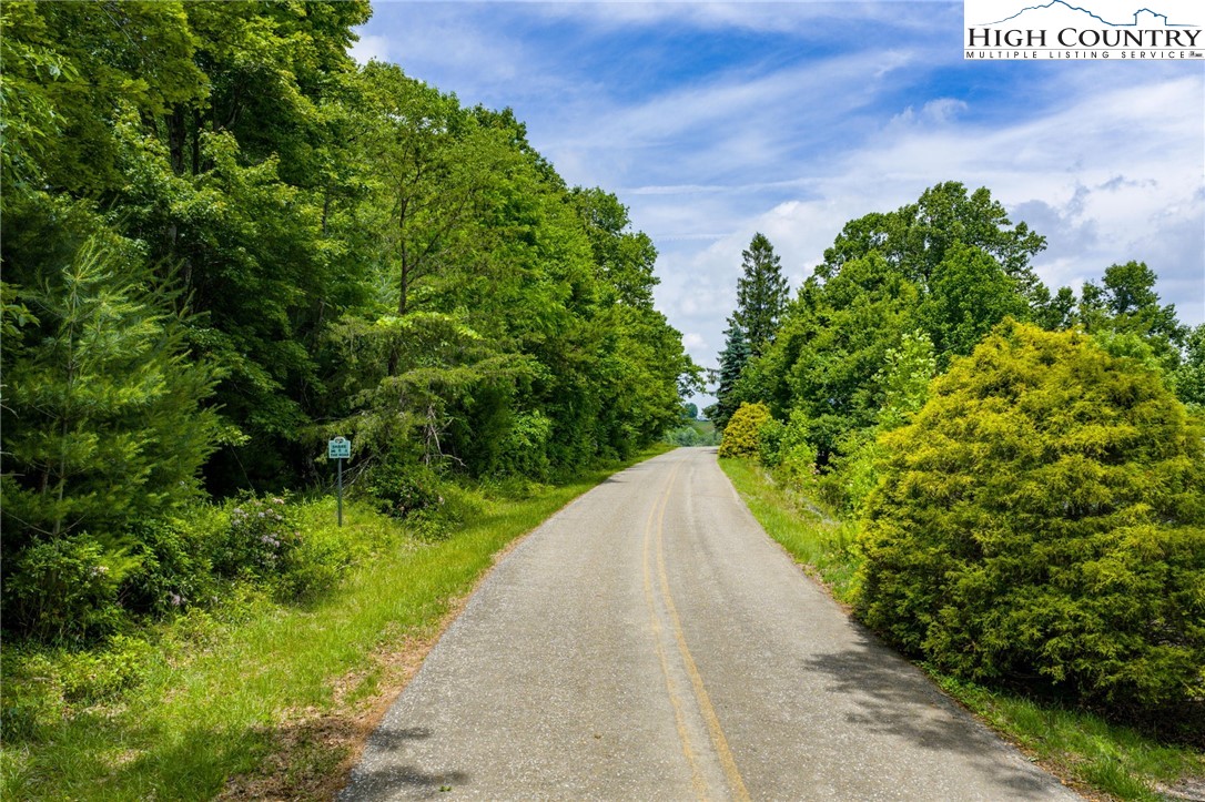 Air Bellows Gap Road, Unit 5 Sparta, NC 28675 - Photo 4 of 11 Gallery Image 4