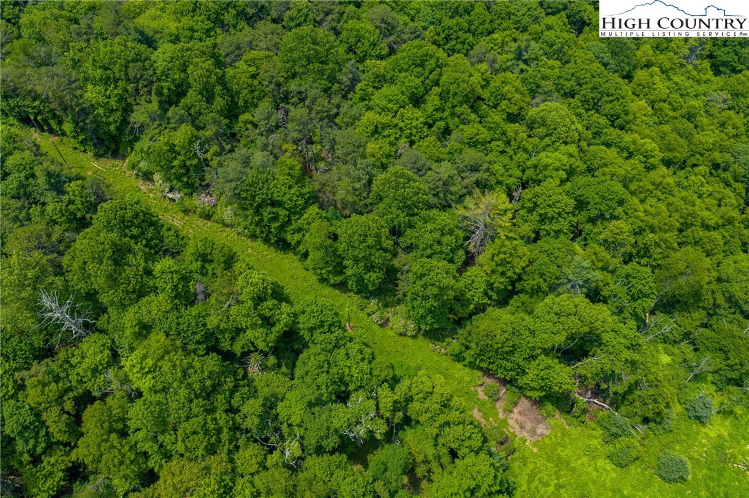 Air Bellows Gap Road, Unit 5 Sparta, NC 28675 - Photo 7 of 11 Gallery Image 7