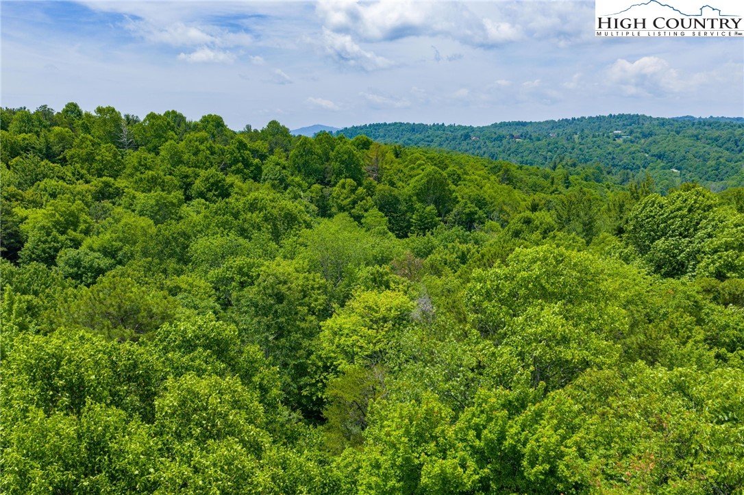 Air Bellows Gap Road, Unit 5 Sparta, NC 28675 - Photo 10 of 11 Gallery Image 10