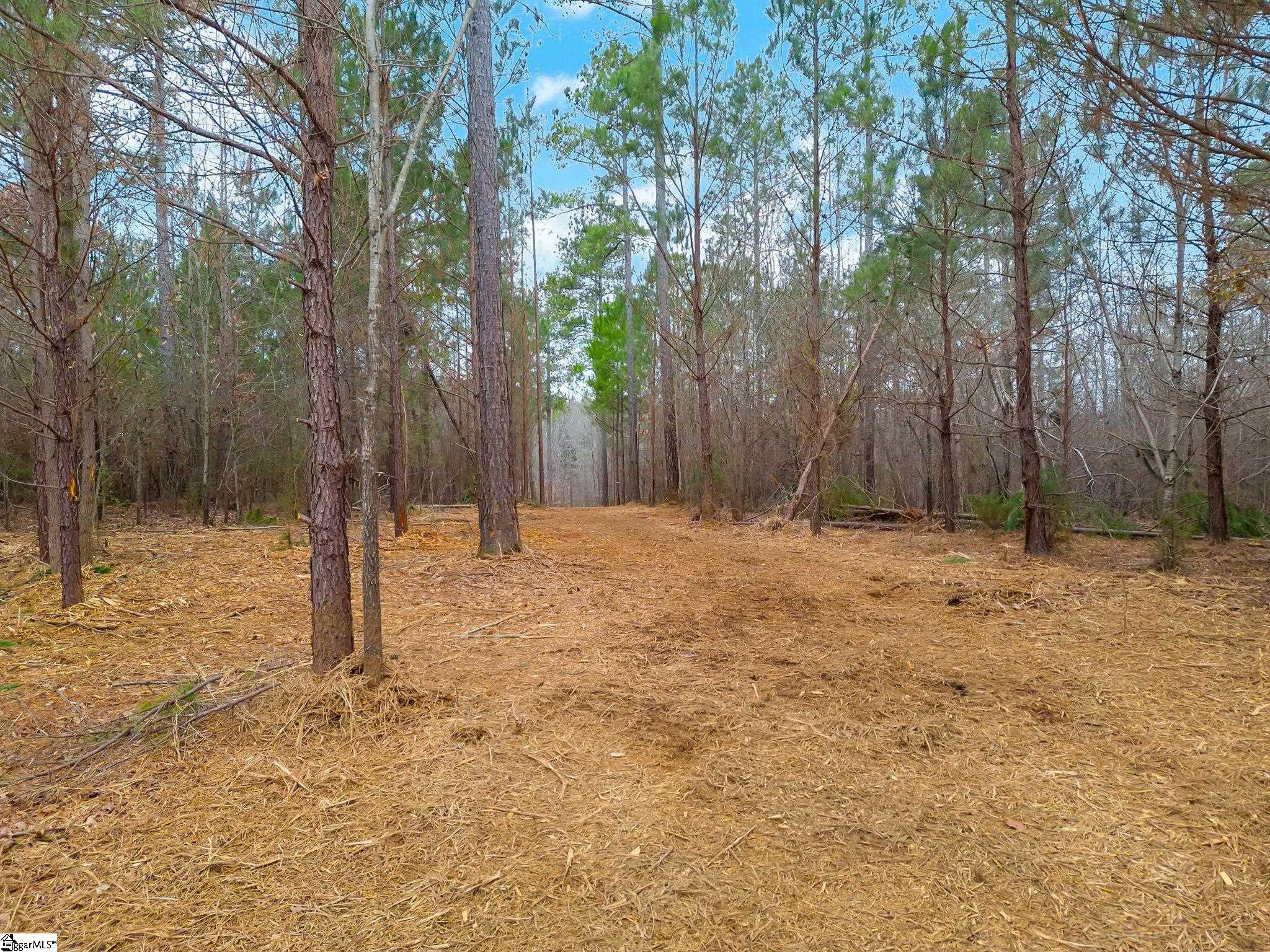 0 Mattison Road, Unit LOT 4 Belton, SC 29627 - Photo 11 of 18