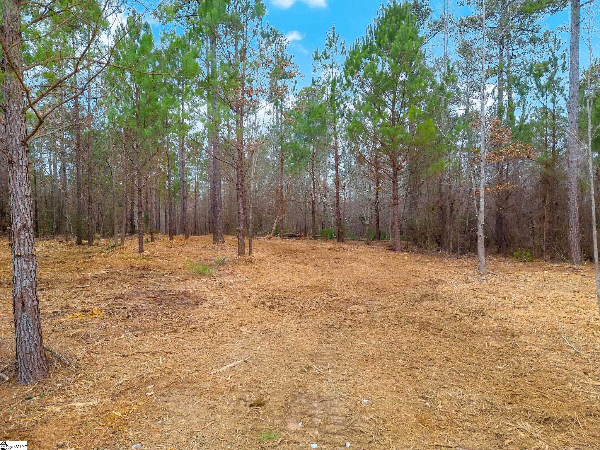 0 Mattison Road, Unit LOT 4 Belton, SC 29627 - Photo 13 of 18