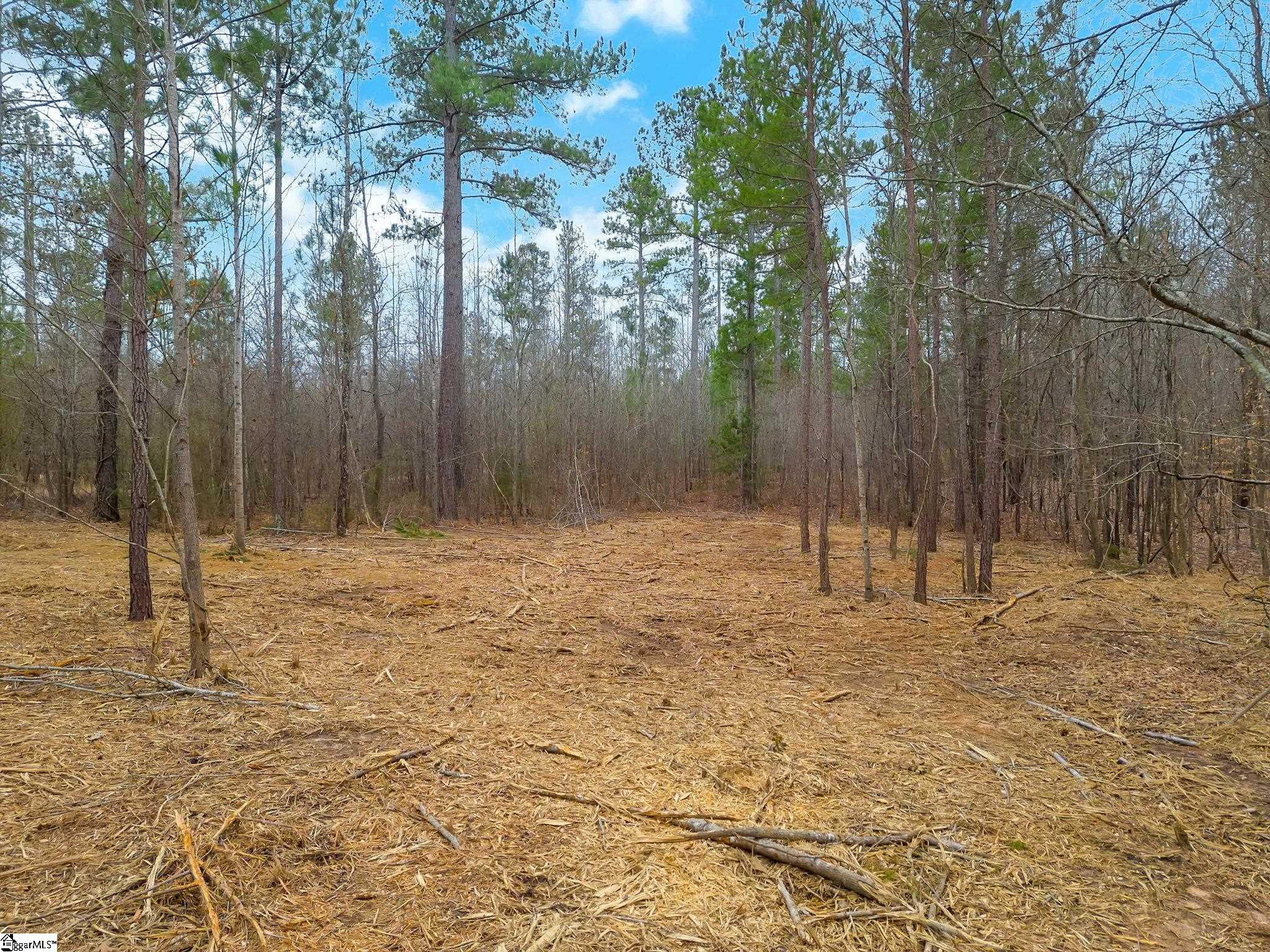 0 Mattison Road, Unit LOT 4 Belton, SC 29627 - Photo 10 of 18