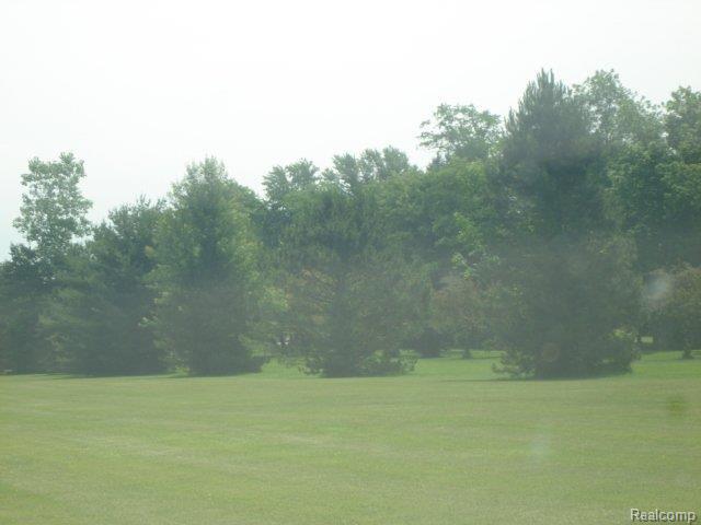 DSC06138.JPG