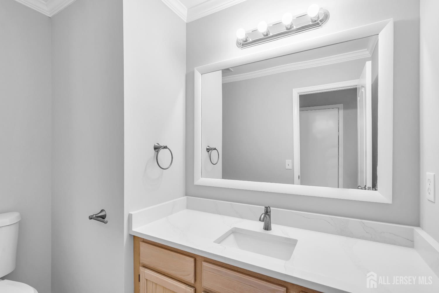 242 Hawthorne Road North Brunswick, NJ 08902 - Photo 15 of 34 a bathroom with a sink and a toilet