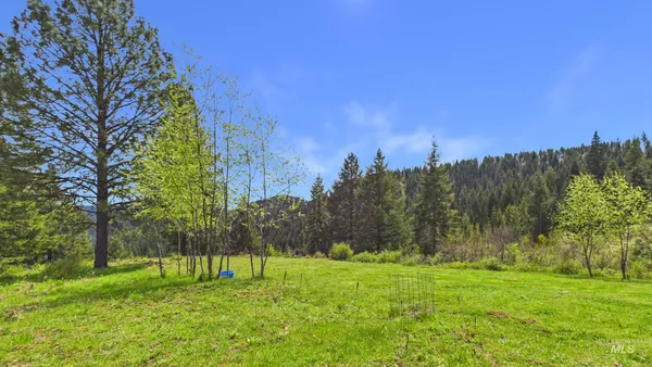 $555,000 | 706 Canyon Rim Lane, Orofino, ID 83544