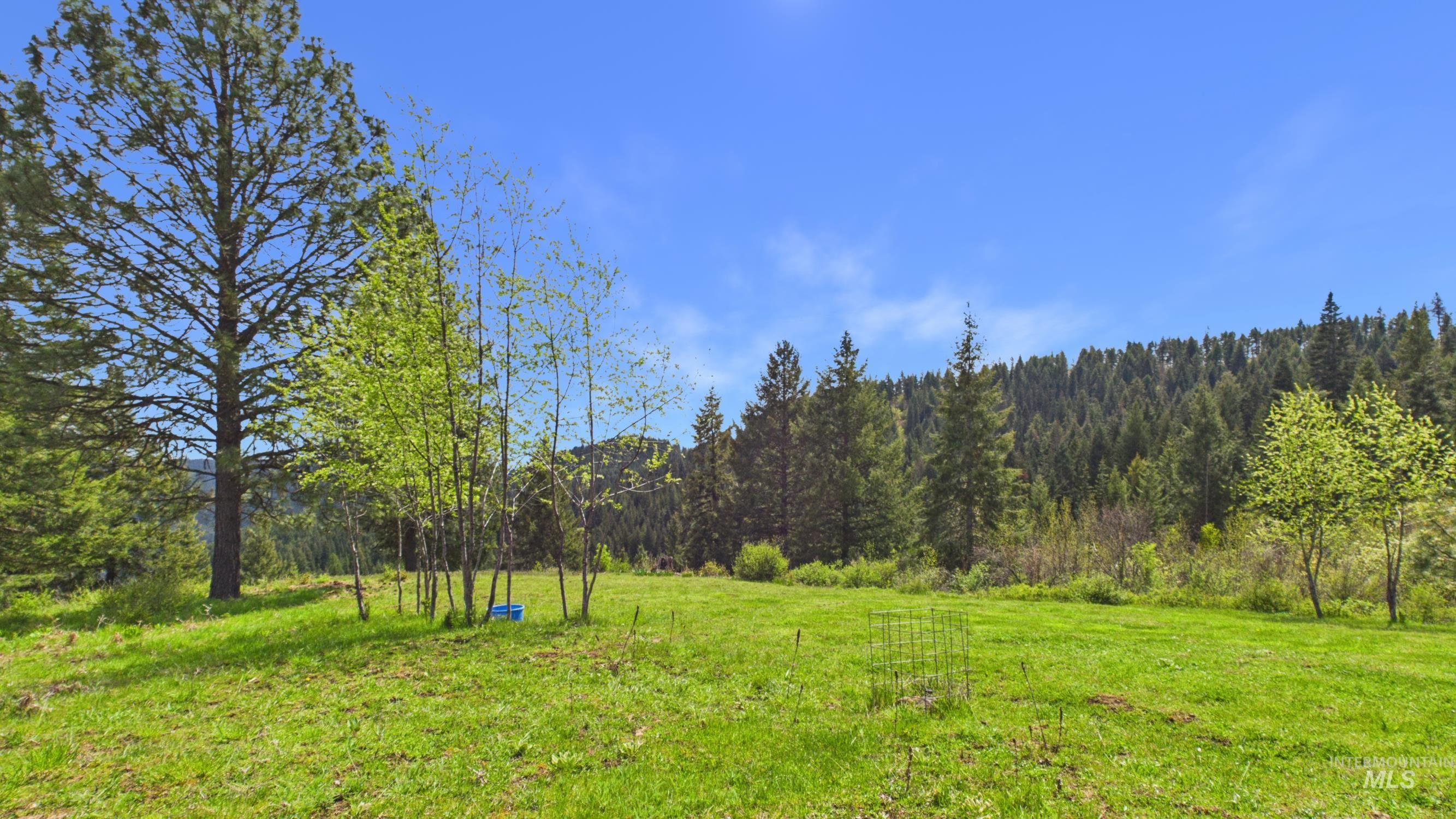 706 Canyon Rim Lane Orofino, ID 83544 - Photo 32 of 43