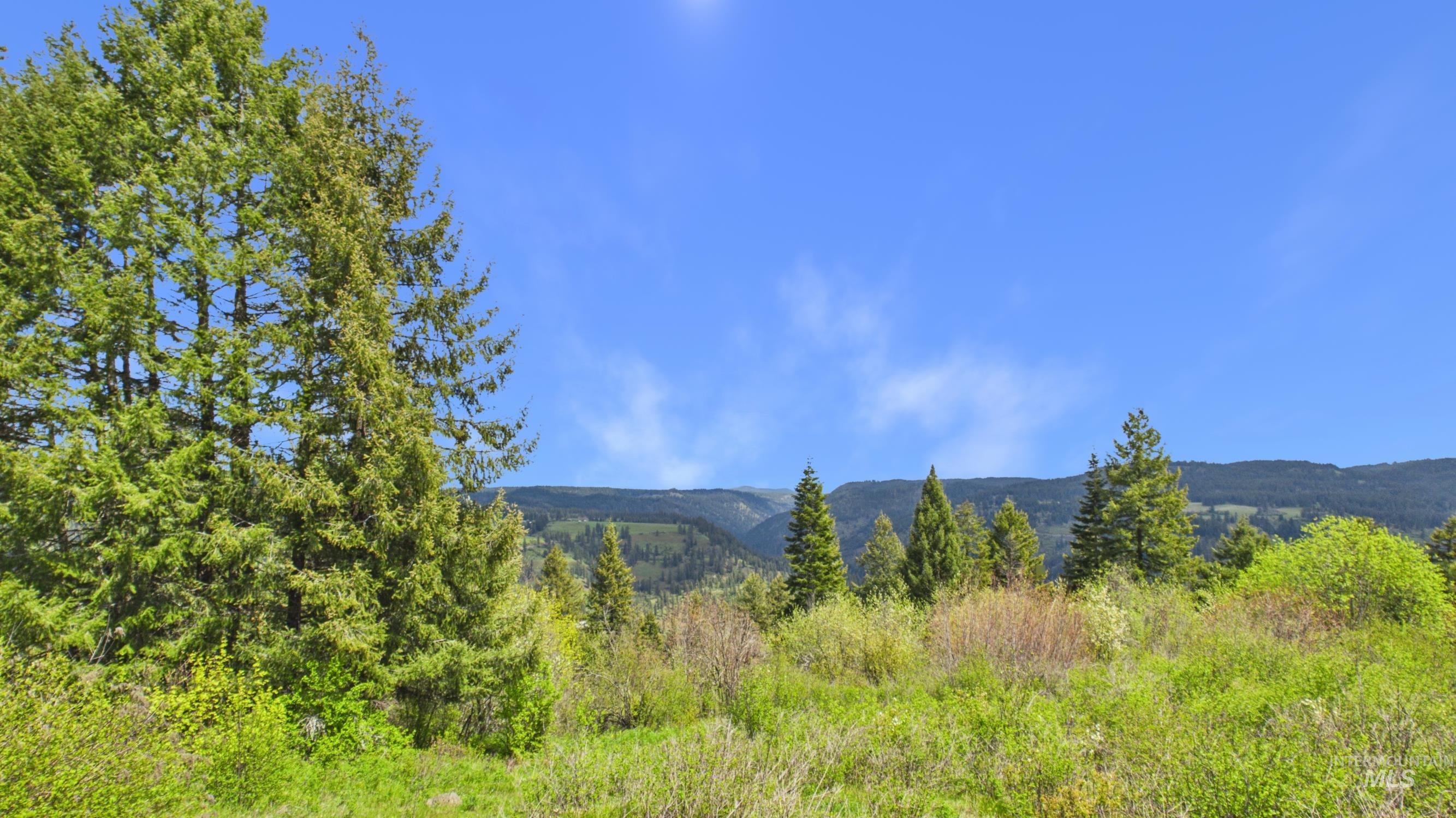 706 Canyon Rim Lane Orofino, ID 83544 - Photo 33 of 43