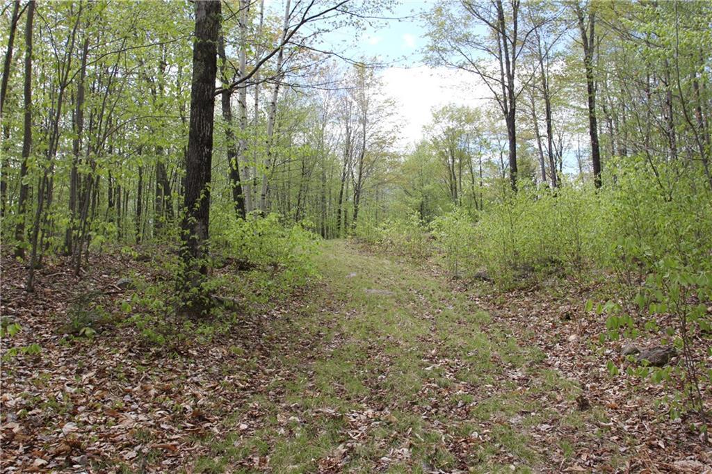 0 Tuelltown Road West Paris, ME 04289 - Photo 4 of 11 Photo