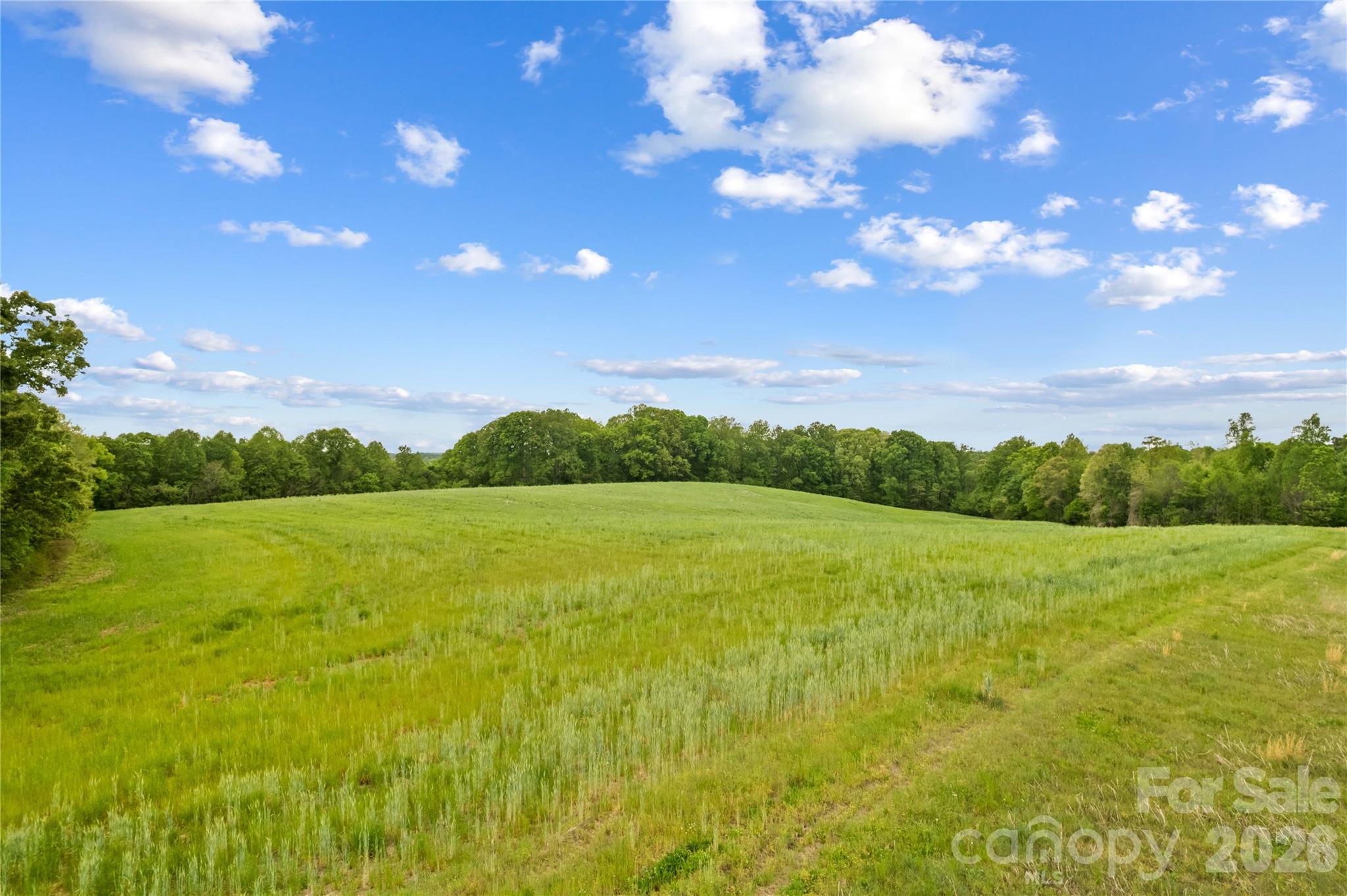0 Powell Road Harmony, NC 28634 - Photo 15 of 18