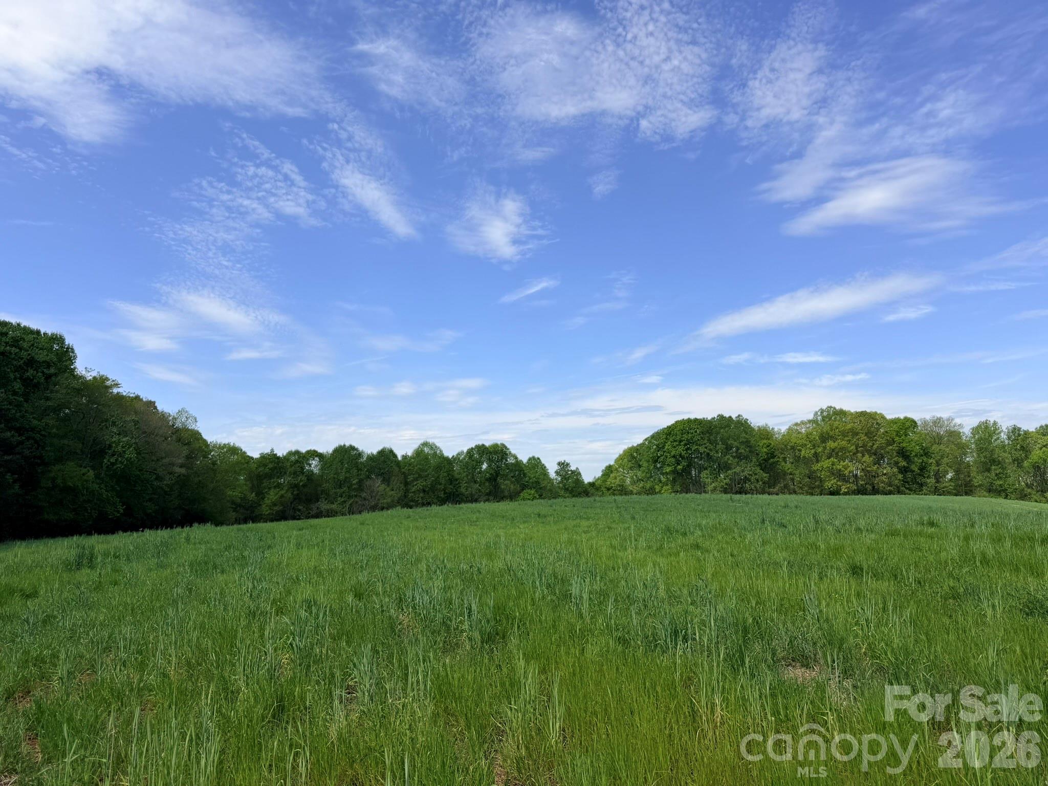 0 Powell Road Harmony, NC 28634 - Photo 15 of 23