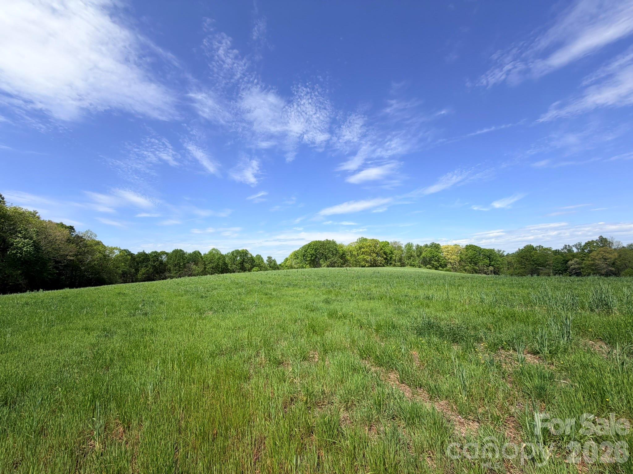 0 Powell Road Harmony, NC 28634 - Photo 16 of 23