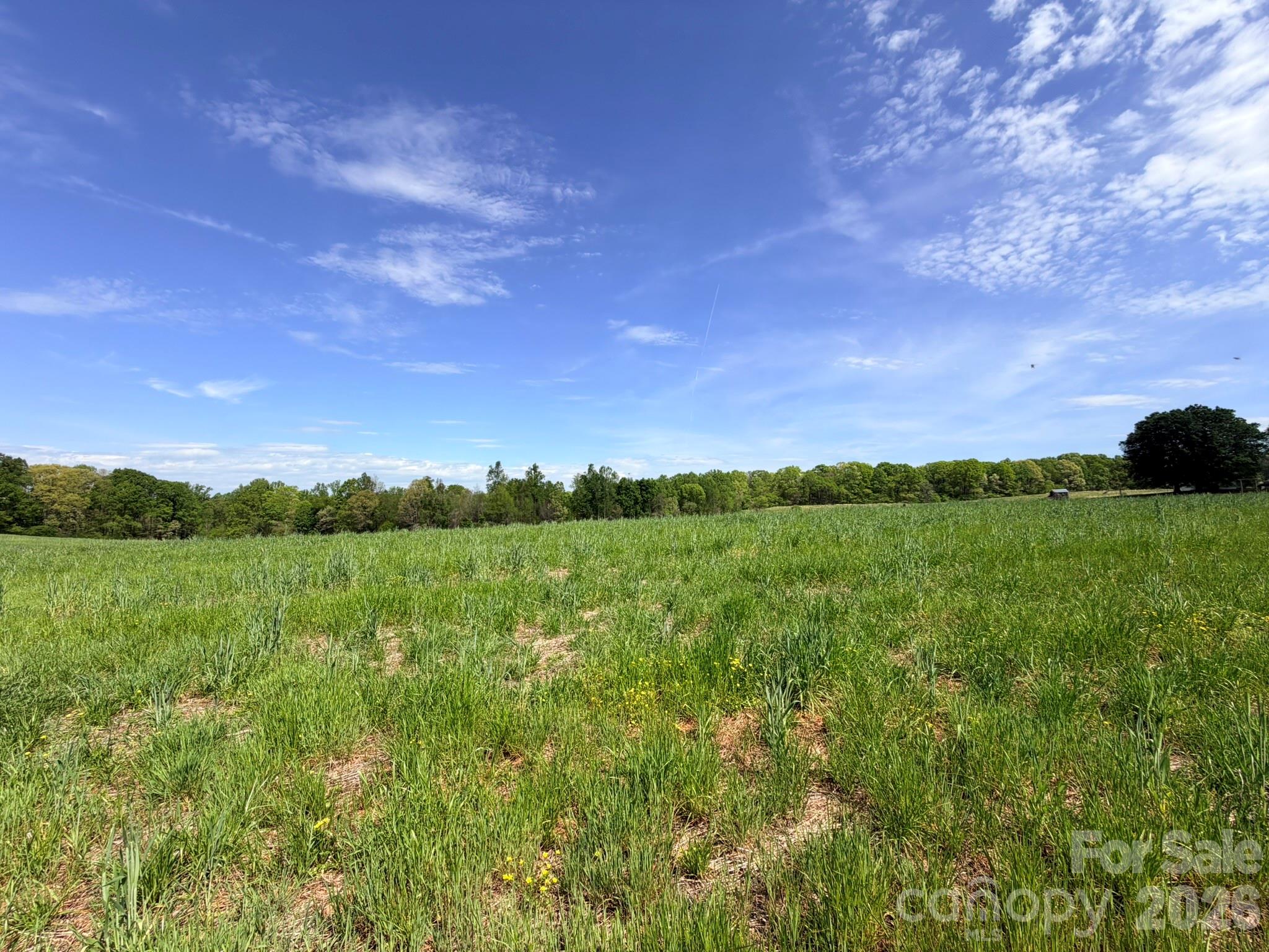0 Powell Road Harmony, NC 28634 - Photo 17 of 23