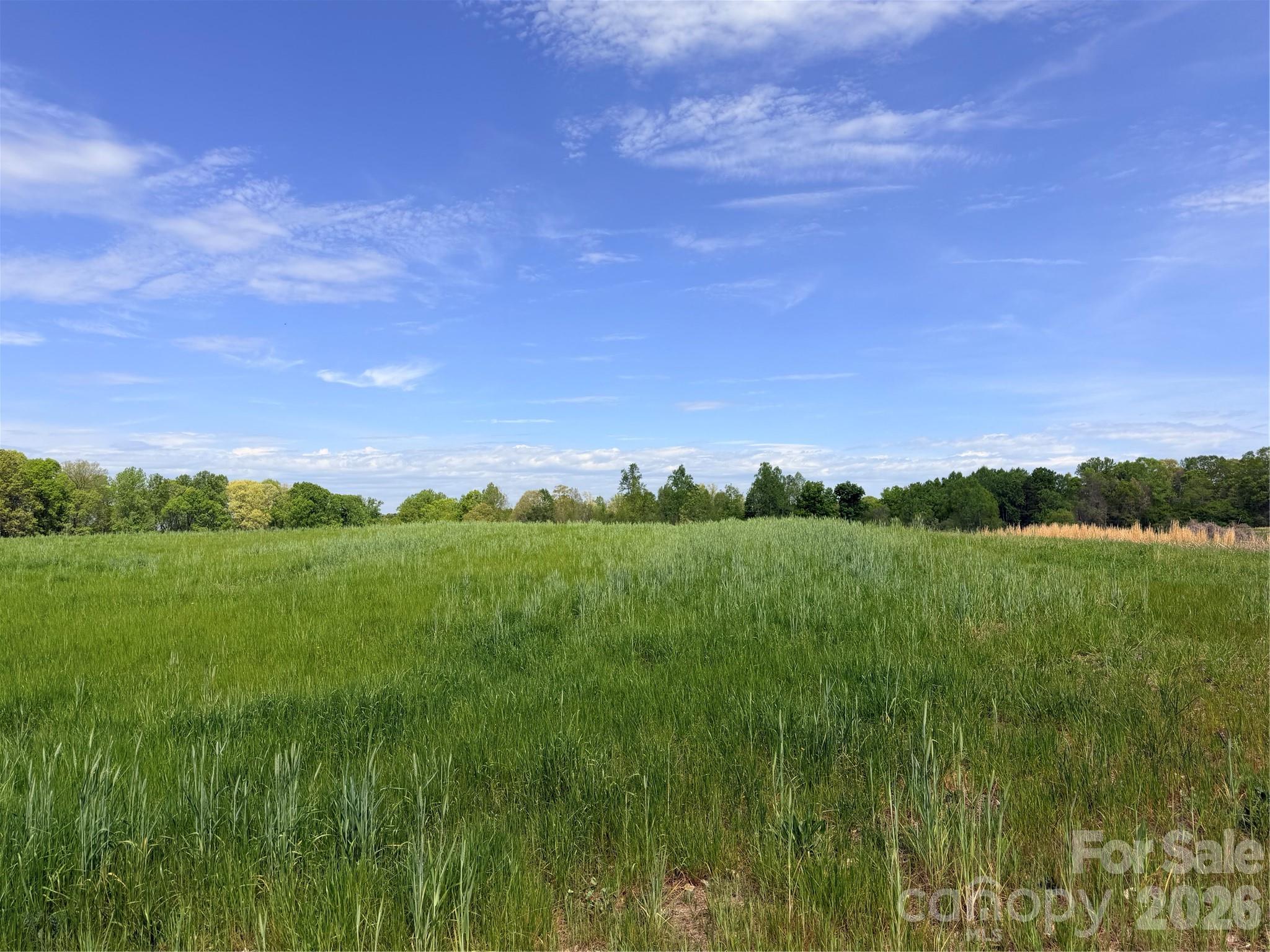 0 Powell Road Harmony, NC 28634 - Photo 2 of 23