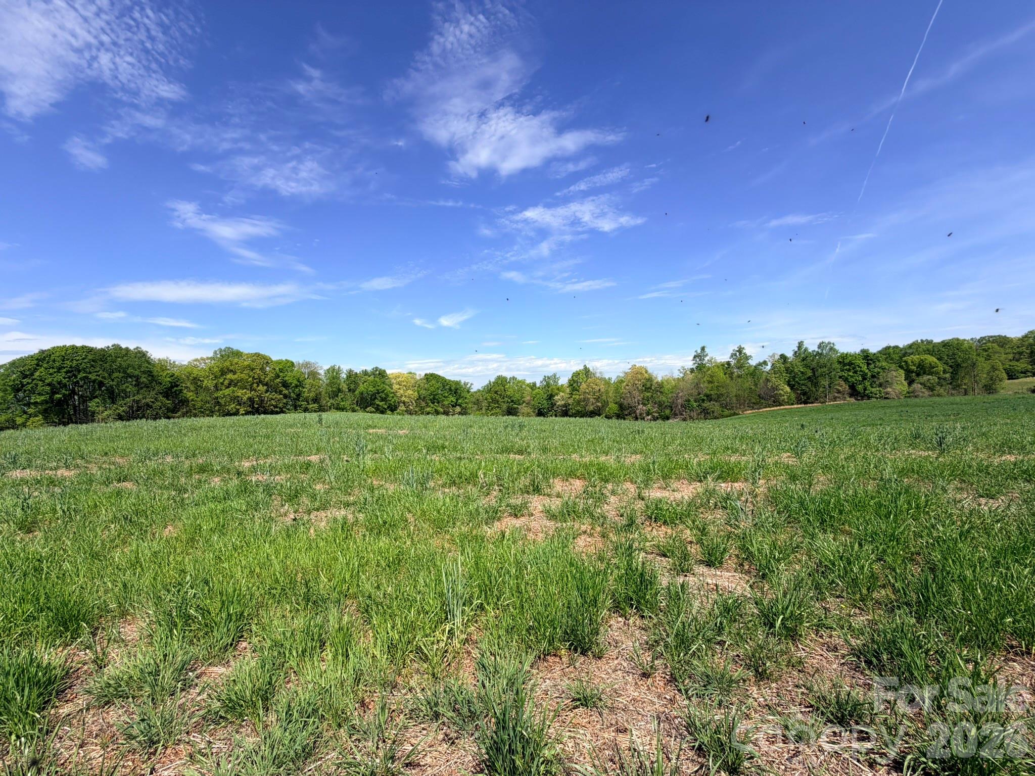0 Powell Road Harmony, NC 28634 - Photo 22 of 23