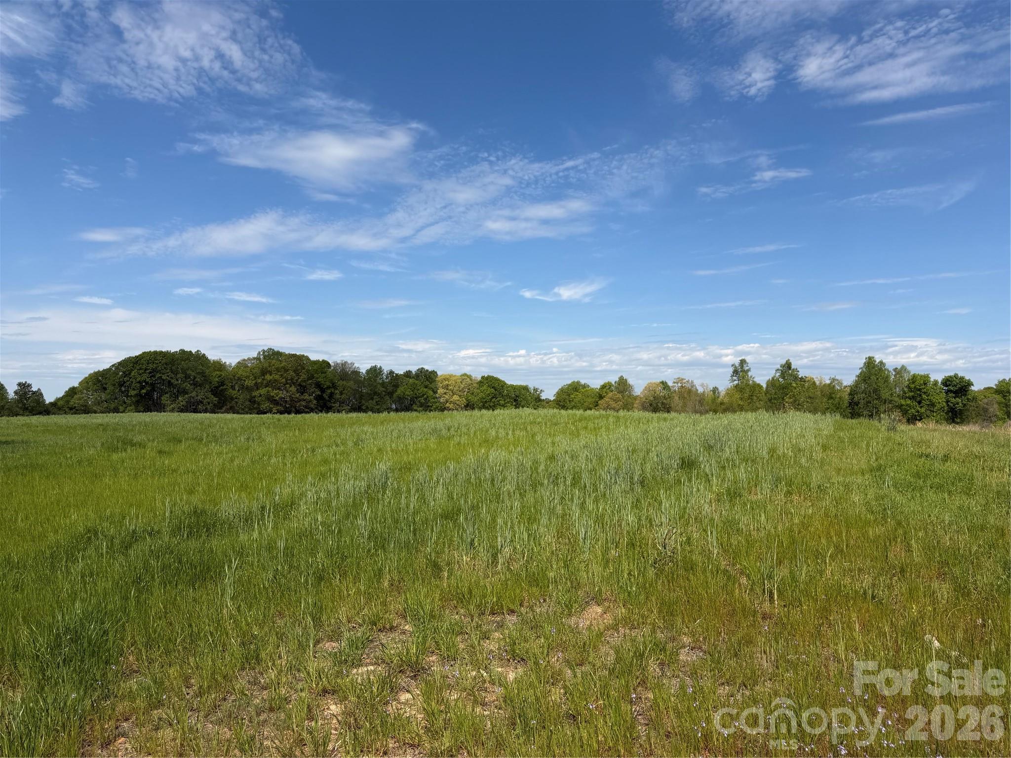 0 Powell Road Harmony, NC 28634 - Photo 4 of 18