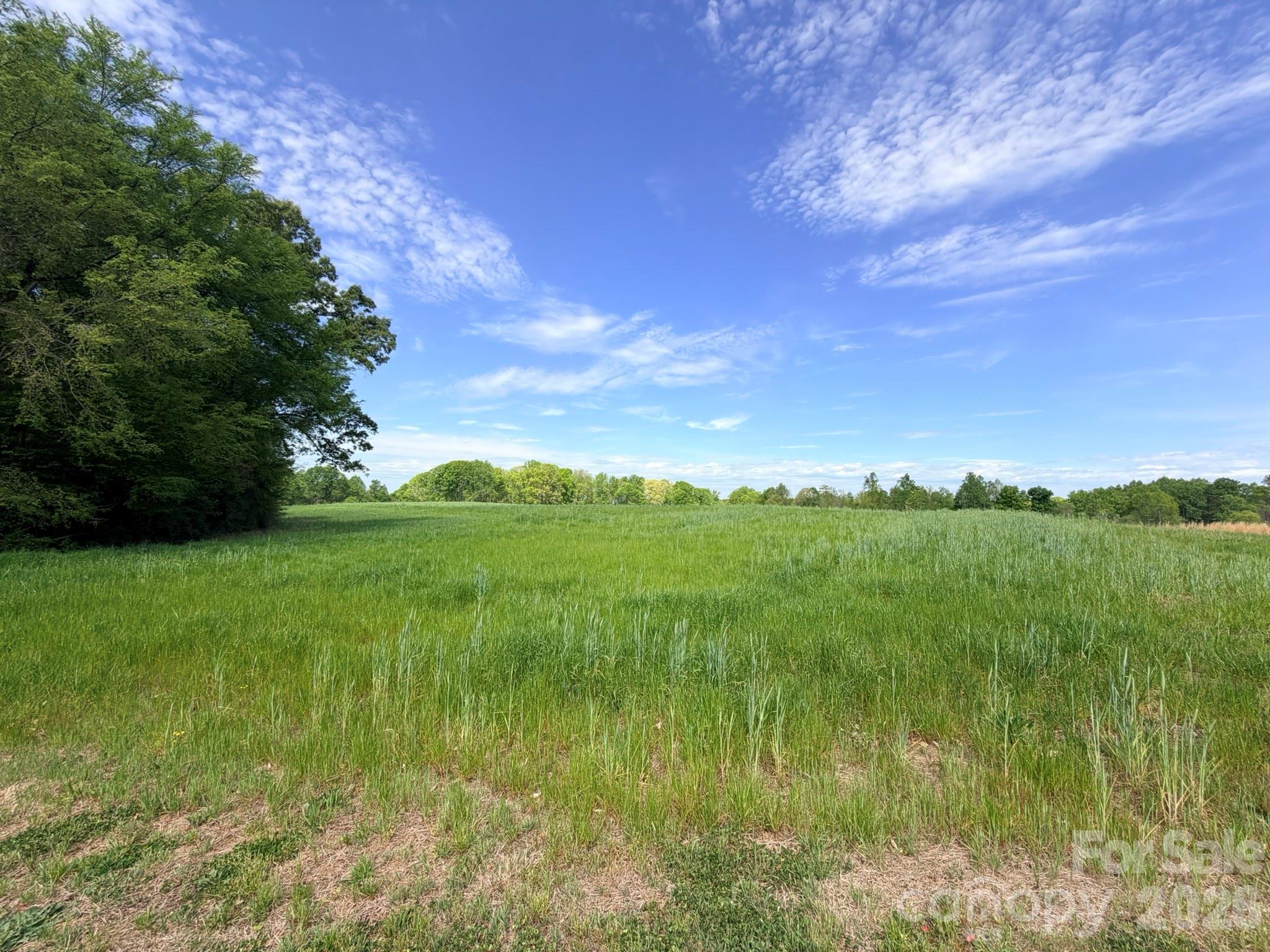 0 Powell Road Harmony, NC 28634 - Photo 5 of 18
