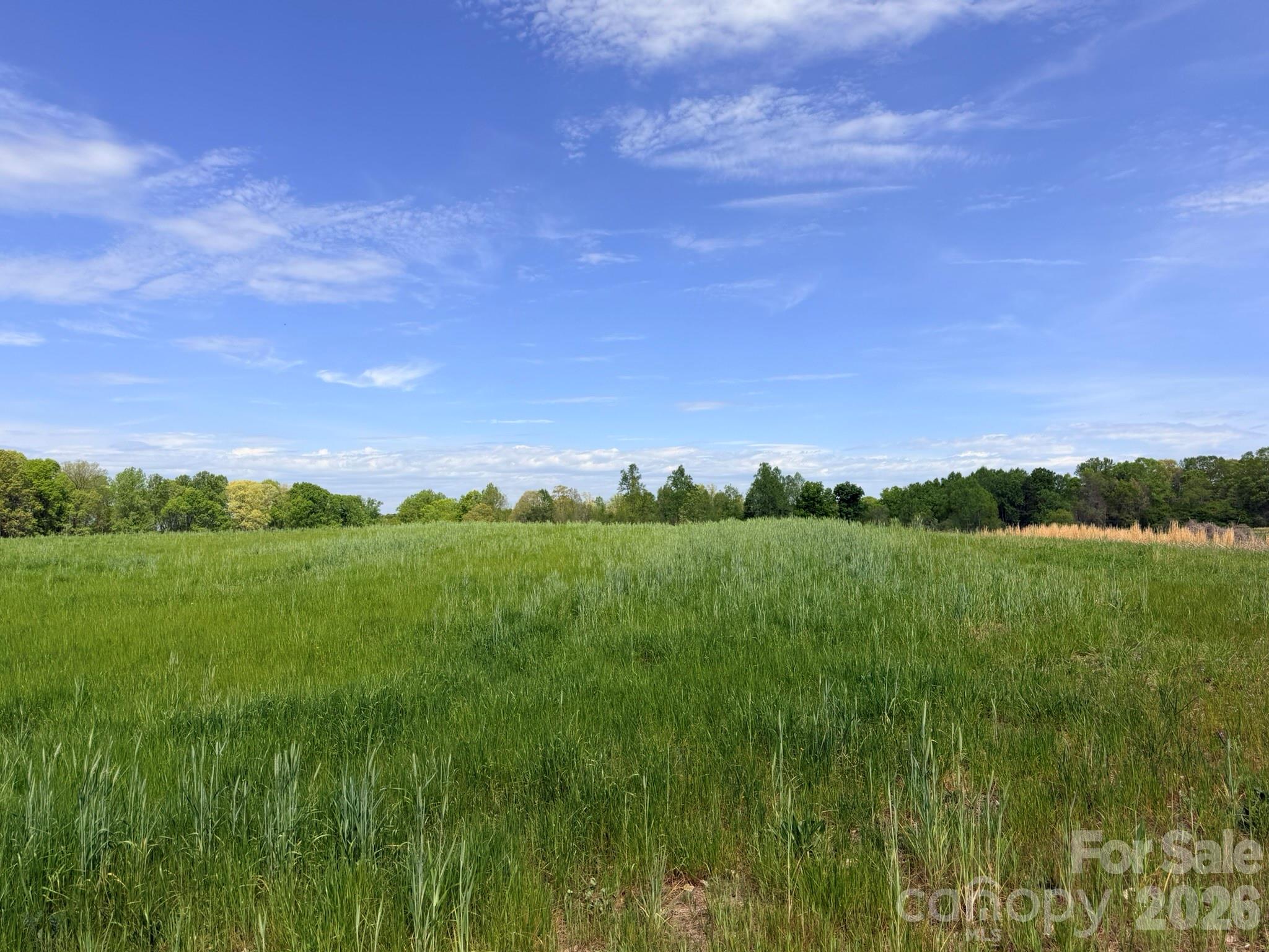 0 Powell Road Harmony, NC 28634 - Photo 6 of 23