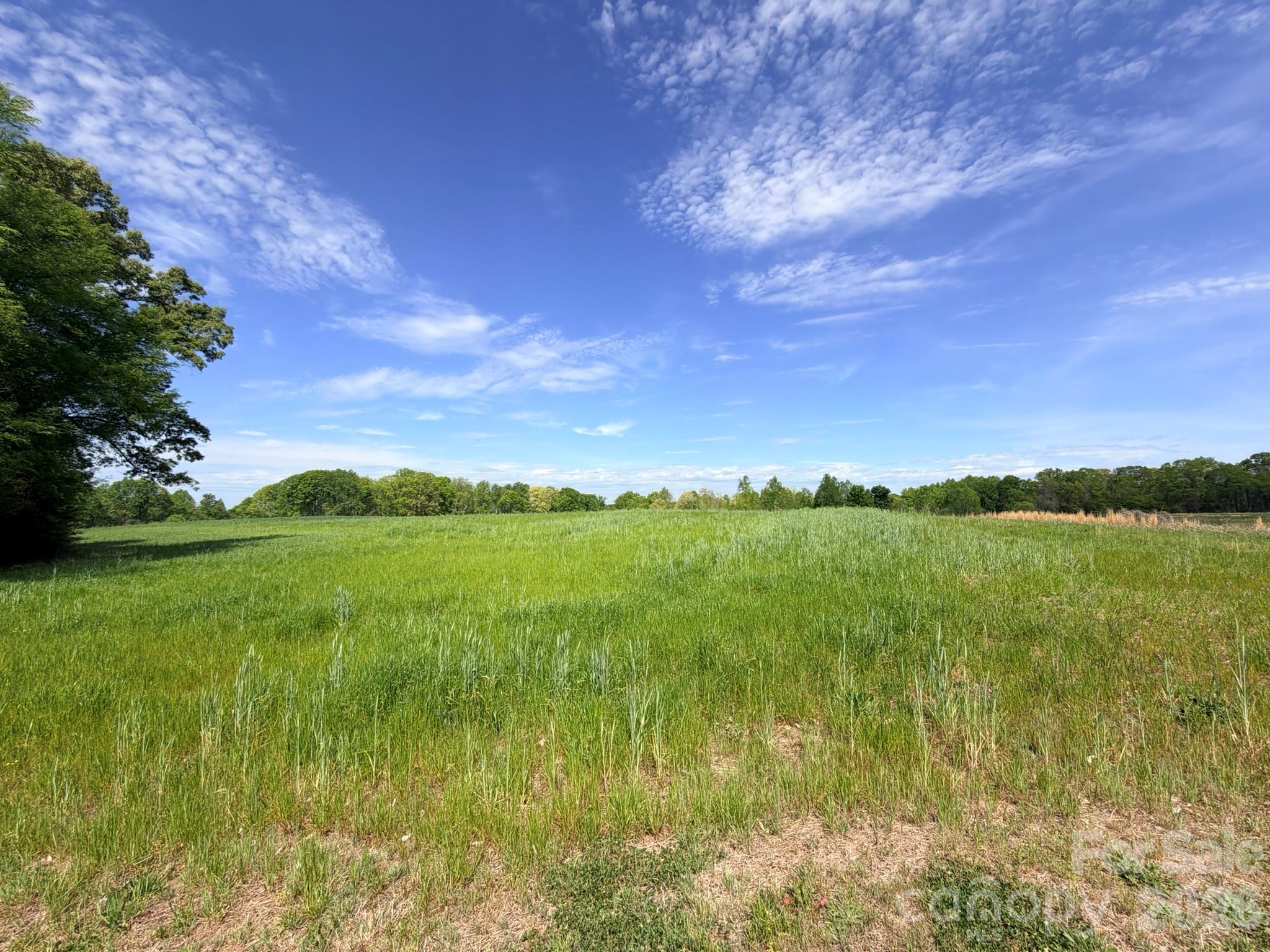 0 Powell Road Harmony, NC 28634 - Photo 7 of 23