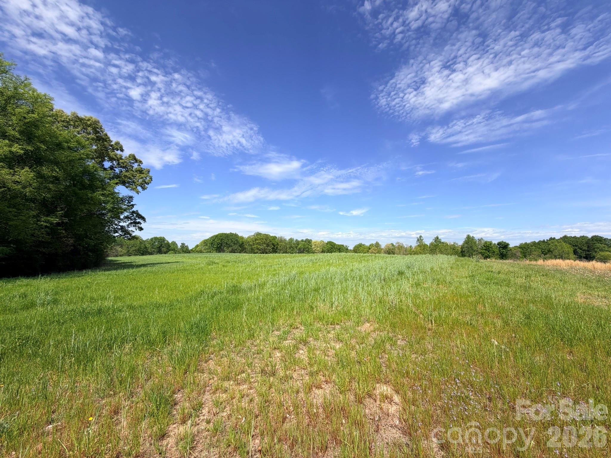 0 Powell Road Harmony, NC 28634 - Photo 8 of 23